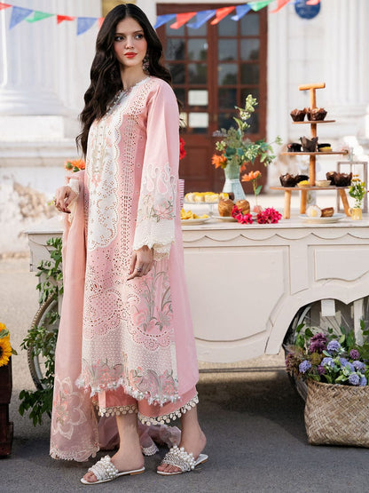 BIN ILYAS – Summer Lawn Collection 2026